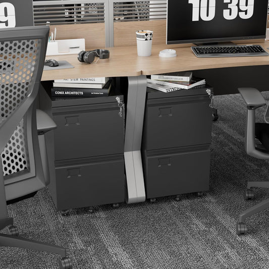 2 Drawer File Cabinet with Wheels, Lockable Metal Filing Cabinet with Business Card Slot for Legal/Letter Size Home Office, Required Assembled,Black