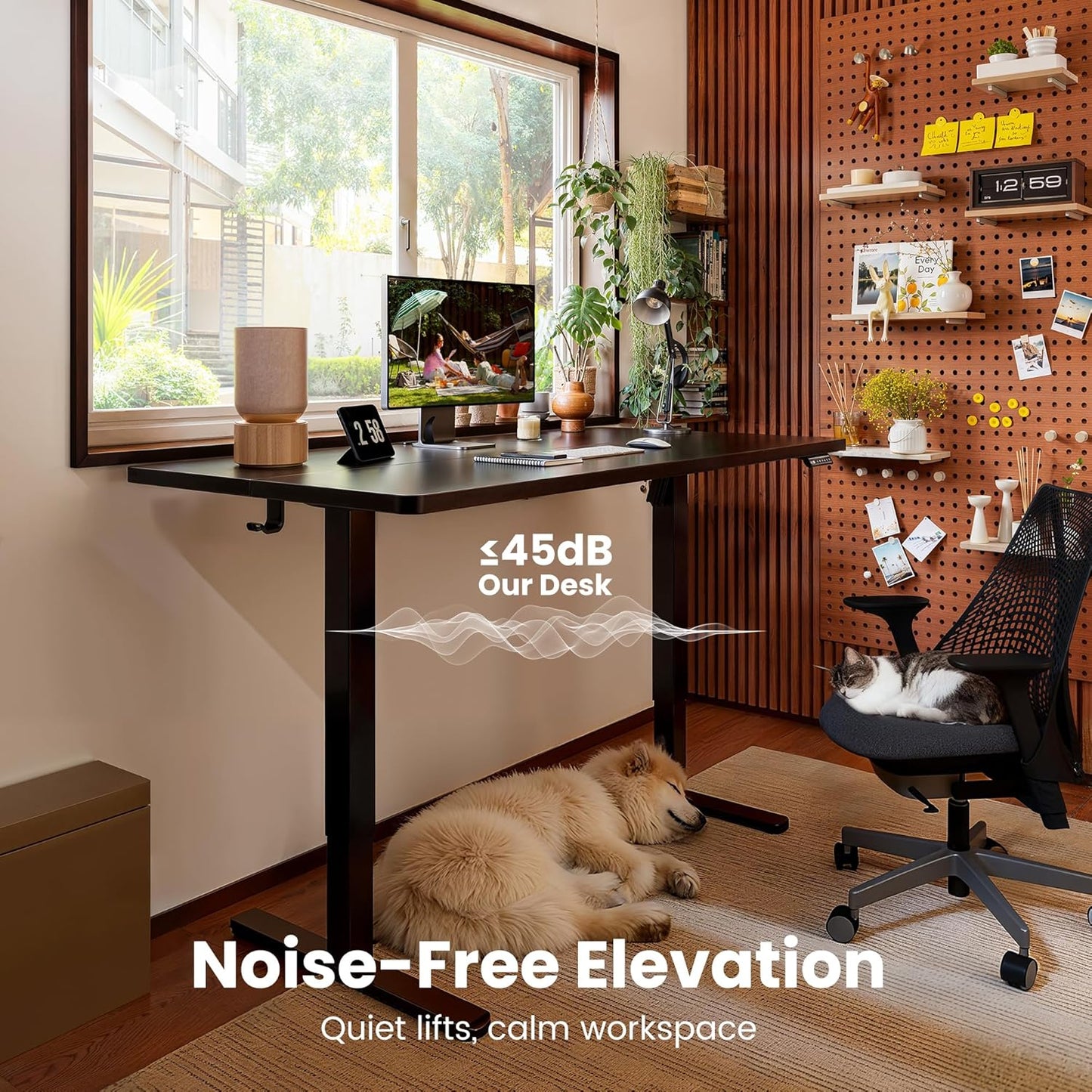 Height Adjustable Electric Standing Desk, 47.2 X 23.6 Inches Sit Stand up Desk, Memory Computer Home Office Desk (Black)