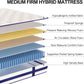 Queen Mattress,12 Inch Hybrid Innerspring Mattress in a Box with Memory Foam,Back Support & Pressure Relief,Medium Firm Feel for Adults (Queen Size)