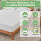 Extra Firm Mattress Twin XL Size 8 Inch, Premier High Density Foam Mattresses in Box, Supportive Bed-Mattress for Back Pain, Pressure Relief, Removable Fiberglass Free Cover, Certipur-Us, 80" X 38"