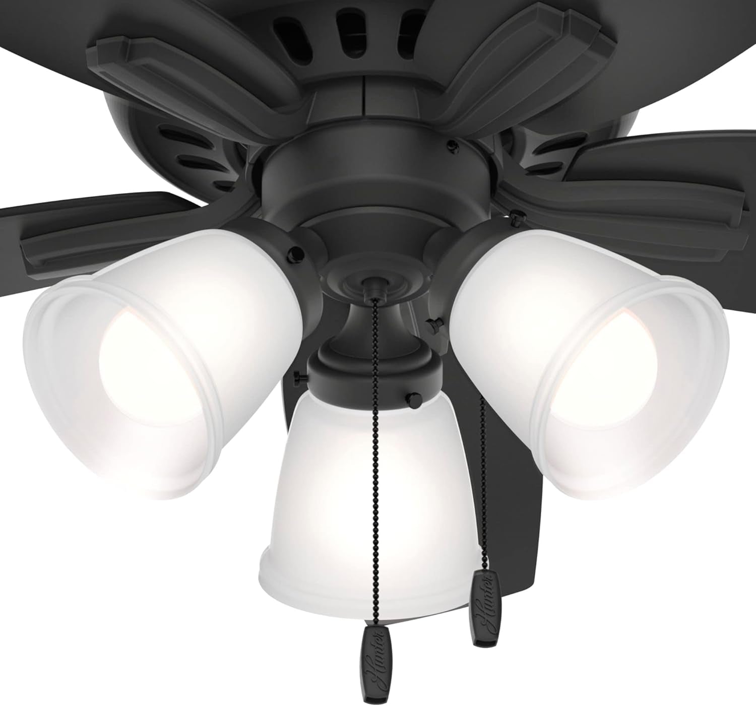 42 Inch Indoor Ceiling Fan with LED Lights - Black Ceiling Fan with Pull Chain, for Bedroom or Living Room, Low Profile Mount, No Remote, 5 Blades, Includes Bulbs - Newsome 52393, Matte Black