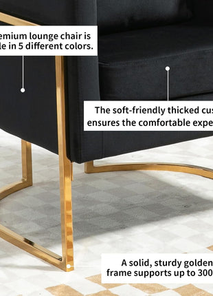 Set of 2 Modern Velvet Accent Chairs, Upholstered Mid-Century Barrel Armchairs with Cushions for Living Room, Comfortable Vanity Chairs with Gold Metal Legs for Bedroom, Black