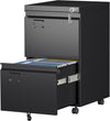2 Drawer File Cabinet with Wheels, Lockable Metal Filing Cabinet with Business Card Slot for Legal/Letter Size Home Office, Required Assembled,Black