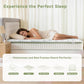 Queen Size Mattress,14 Inch Queen Mattress in a Box,Memory Foam Hybrid Mattress,With Individual Pocket Spring - Pressure Relief, Motion Isolation, Cool Sleep, Certipur-Us Certified, 80''L X 60''W