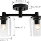2-Light Semi Flush Mount Ceiling Light, Industrial Pendant Lighting Fixture with Glass Shade, Ceiling Chandelier Lamp for Hallway Loft Kitchen Bar