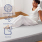 Sleep Element Queen Mattress - Medium Feel - Motion Isolation - Breathable, Cooling Memory Foam - 100-Night Trial - Certipur-Us