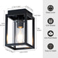 Flush Mount Ceiling Light Fixture with Clear Glass Shade, Farmhouse Black Metal Frame Light Fixture for Kitchen Island Entryway Porch Foyer Dining Room, E26 Ceramic Base