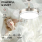 30" Retractable Ceiling Fans with Lights, Dimmable LED Ceiling Fan Remote Control, Modern Small Fan Light for Bedroom Living Room Dinning Room Kitchen, 3000K-6500K, 6 Speed (Brushed Nickel)