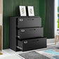 Lateral 3 Drawer File Cabinets with Lock, Metal Filing Storage Vertical Cabinets,Home Office Furniture for Organization Hanging Letter/Legal/F4/A4(Black)