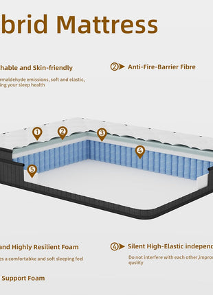 12-Inch Multilayer Hybrid Queen Mattress by Cochones | Nectar | Medium Firm | Cool and Breathable | Individual Pocketed Springs for Enhanced Motion Isolation | Conveniently Delivered in a Box