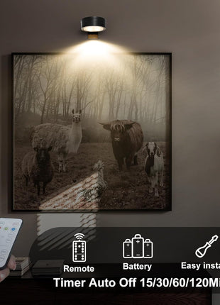 Battery-Powered Picture Lighting Set - 3-Pack Magnetic Art Display Lights with Remote Control, Dimmable Timer, and Three Lighting Modes for Portraits and Wall Decor