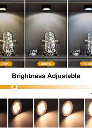 Battery-Powered Picture Lighting Set - 3-Pack Magnetic Art Display Lights with Remote Control, Dimmable Timer, and Three Lighting Modes for Portraits and Wall Decor