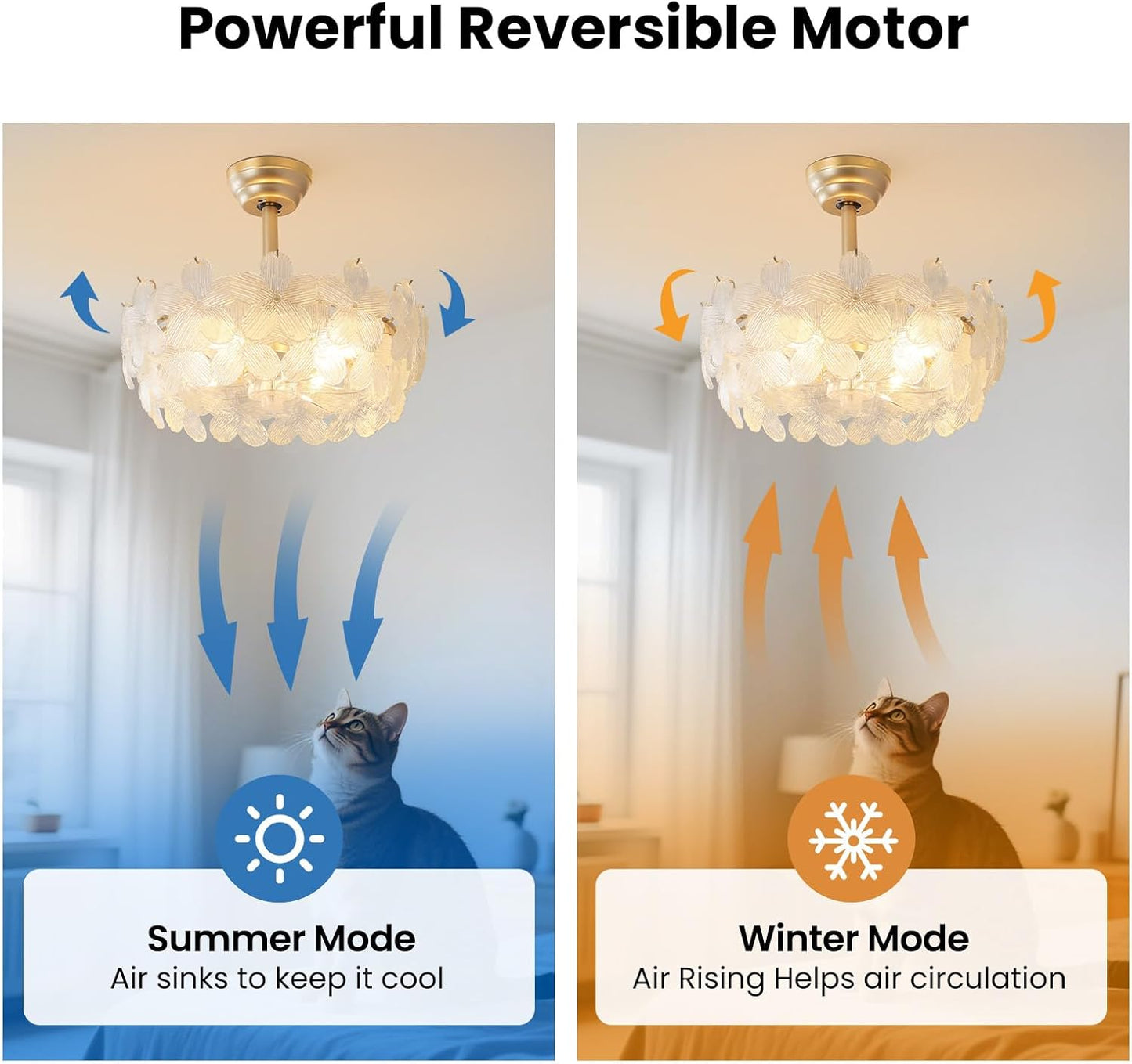 20'' Fandelier Ceiling Fans with Lights, Gold Caged Ceiling Fan with Remote Low Profile, 6 Speed and Petal, Modern Semi Flush Mount Ceiling Fan for Bedroom, Living Room, Nursery