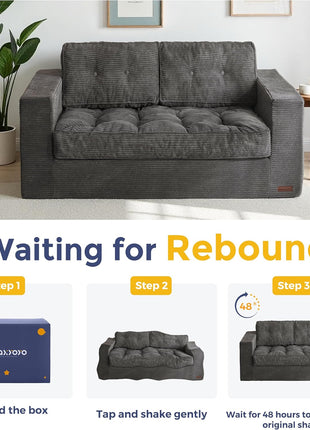 Upholstered Loveseat Sofa Couch and Bean Bag Chair Cloud for Adults, Boneless Design with Tufted Cushion and Pillows, Sofa in a Box, No Assembly Required, Dark Grey