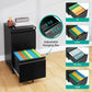 2 Drawer File Cabinet on Wheels,Metal Filing Cabinet with Lock,Black Rolling File Cabinets with Casters,Under Desk Office Cabinets for Home Office,Fit A4/Letter/Legal,Easy Assembly